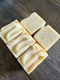 Solid Dish Soap - All Natural